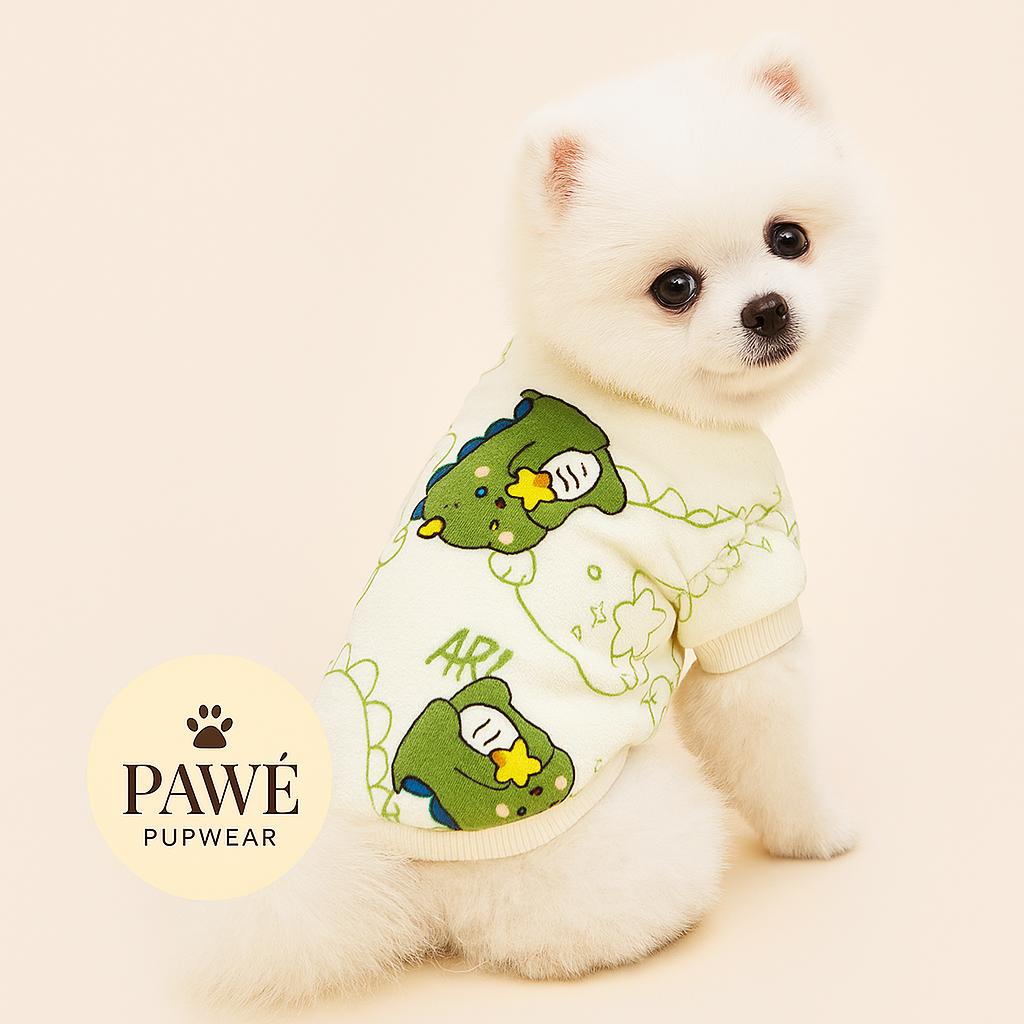 PAWÉ “Dino Dreams” Cozy Sweater